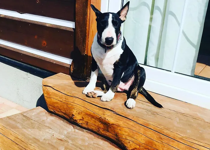 Wellness Roubenka Apartmán Chlum u Trebone